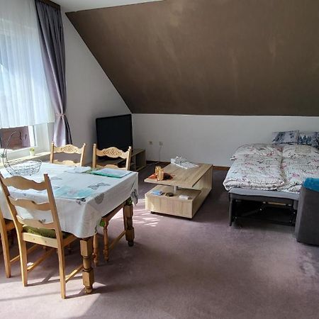 Haus Rehblick 2, Wg 4 Apartment Sankt Andreasberg Luaran gambar